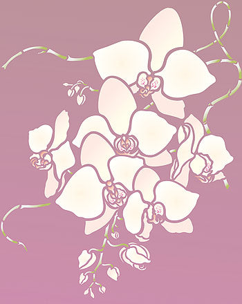 Large Orchid Flowers Stencil