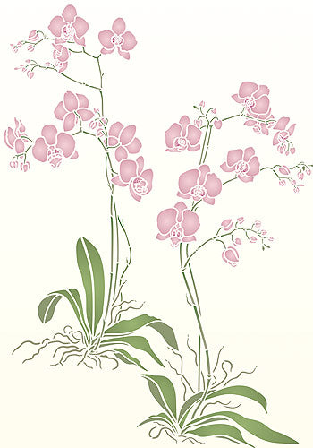 Orchid Stencil