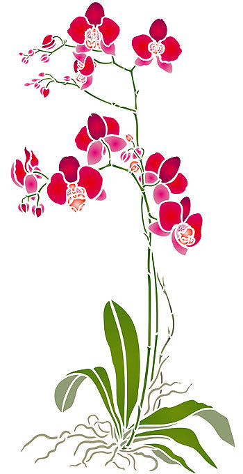 Orchid Stencil