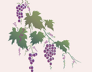 Large Grapevine Stencil