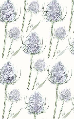 Wild Teasel Stencil