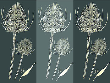 Wild Teasel Stencil