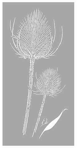 Wild Teasel Stencil