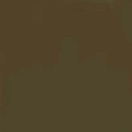 Raw Umber Tinter