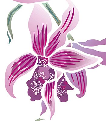 Wild Orchid Stencil