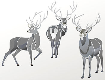 Large Wild Stags Stencils 1, 2 and 3 Theme Pack