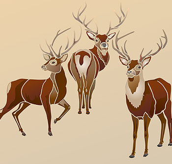 Large Wild Stags Stencils 1, 2 and 3 Theme Pack