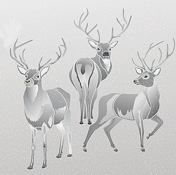 Large Wild Stags Stencils 1, 2 and 3 Theme Pack