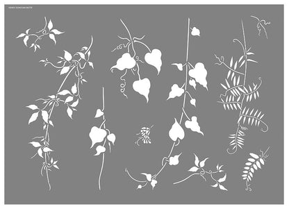 Wild Vine, Vetch and Clematis Stencil