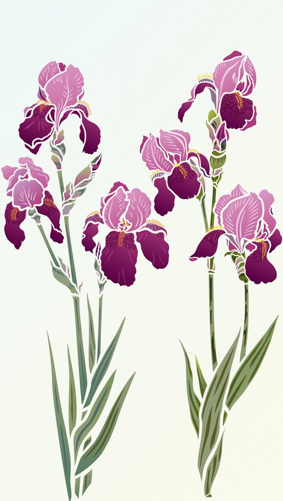 Large Iris Theme Pack
Beautiful Iris flower stencils.
2 x 2 sheet designer stencils
Iris Stencils 1 & 2 - beautiful, elegant designer Iris Stencils based on Henny's detailed Bearded Iris drawings. Bring modern botanical and floral design touches to your interior decorating. Ideal for panels, furniture, soft furnishings and more. Two easy to use two layer stencils with shapely petals and detailed stamens and flower vein markings. See size specifications below.