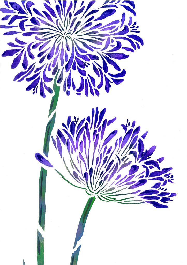 Exquisite large 2 sheet flower stencil
The Large Agapanthus Flower Stencil - based on Henny's closely observed drawings of the beautiful agapanthus flower. The Large Agapanthus Stencil perfectly captures the stately elegance of the Agapanthus (African Lily) in full bloom. This design is perfect for creating modern feature walls, panels and fabric drops.

Use tones of purple, lilac, blue and green for a clean, fresh modern look, or stencil in silhouette white on coloured backgrounds for a unified style. Use the whole design or just the flower section to create different effects. Two layer flower stencil with easy to use registration dots. See size Specifications below.