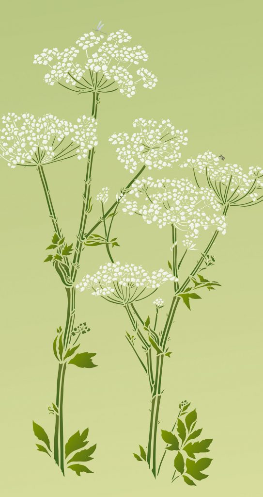 Designer botanical stencil
Exquisitely detailed 3 sheet stencil
The Giant Hogweed Stencil is ideal for decorators with a love of wild botanical motifs and oversize stencils. The Giant Hogweed, also known as Queen Anne's Lace, has here been faithfully drawn from the wild Hogweeds found in thickets and country lanes around the Brecon Beacons - Henny Donovan brings another innovative botanical design to her stencil range. 3 sheet stencil. See size specifications below.

This design is perfect for modern botanical decorating - use to create stunning oversize random wall paintings and wallpaper effects or for contemporary botanical hand printed fabrics. Ideal for botanical murals and features on walls in hallways and living spaces.