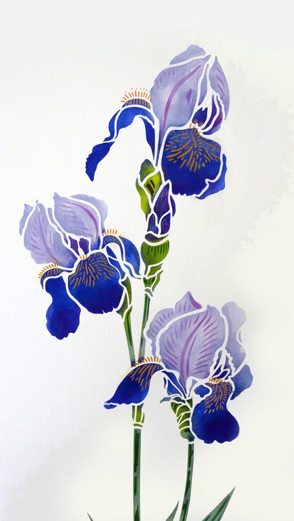 Beautiful Iris flower stencil.
2 sheet designer stencil
Iris Stencil 1 is a beautiful and elegant Iris Stencil based on Henny's detailed Bearded Iris drawings. This beautiful flower stencil is ideal for modern floral and botanical home decorating.  Great for panels, furniture, soft furnishings and more. Easy to use stencil in two layers with shapely petals and detailed stamens and flower vein markings.

See size specifications below.