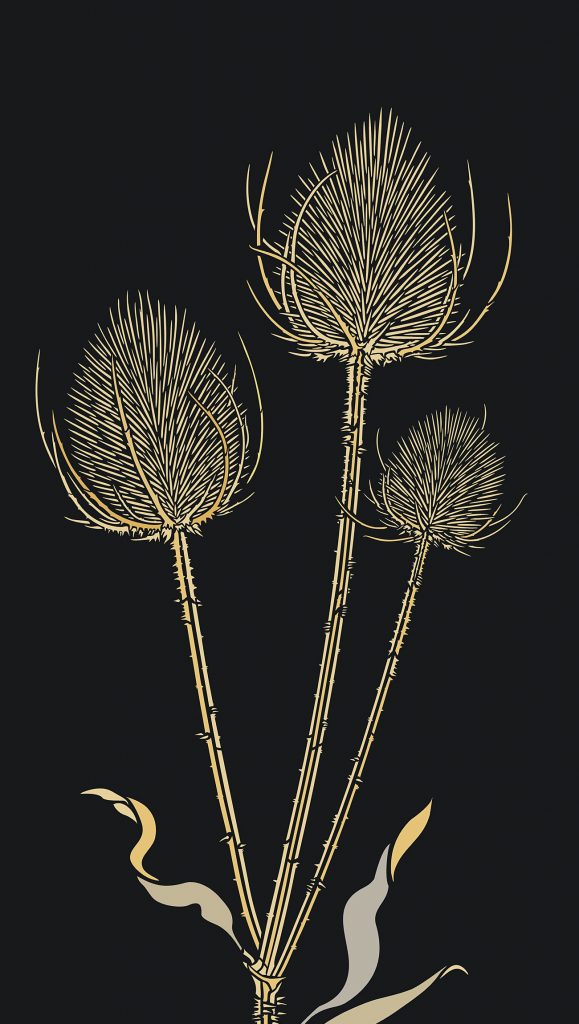 2 sheet intricate designer stencil
The stunning Large Wild Teasels Stencil is a delicate detailed design, lovingly observed and drawn so each spike of the teasel is positioned to perfectly form the elegant thistle-like heads, aloft tall, graceful stems. Use this exquisite stencil to create sophisticated contemporary design notes in living spaces, halls, stairways and as feature panels and fabric drops.  The delicate spikes of the teasel heads add a soft but striking touch to any wall.

The Large Wild Teasels Stencil is perfect for architects, interior designers, decorators and homeowners - also available as the smaller Wild Teasel Stencil, Large Wild Teasel and made to order Giant Wild Teasel Stencil 1 and Giant Wild Teasel Stencil 2. This two sheet single layer stencil comprises three intricate teasel heads and elegant stalks and comes with easy to use registration dots to align the two sections together - see specifications below.