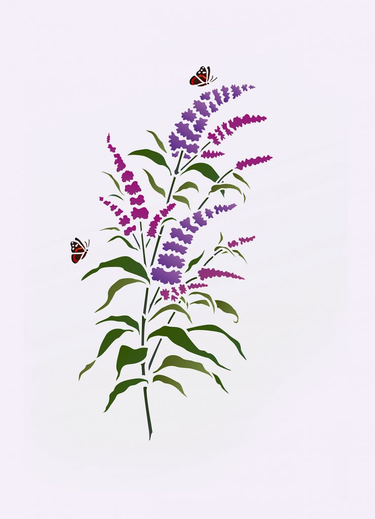 Beautiful wild flower stencil.
1 sheet small stencil
The beautiful Little Buddleia Stencil is perfect for botanical wild flower stencilling projects. This stencil of a small spray of buddleia is based on Henny's buddleia studies and sketches and is an extremely versatile stencil. Ideal for beginners.  Great for cushion covers, scarves, handkerchiefs, or for home accessories, such as frames and boxes and great for paper and craft work such as gift cards and wrapping. Also comes with a tiny beautiful Red Admiral motif in two layers.  See size specifications below.