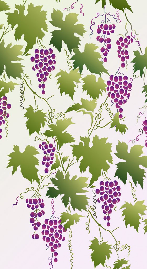 Beautiful botanical & fruit stencil
2 sheet stencil
Grapevine Stencils finally get a makeover! The graceful new Grapevine Stencil is beautiful and elegant. Inspired by tumbling vines and full bunches of grapes, this design is perfect used as a single motif or repeated as a border or in continuous patterns - whatever suits your style. The grapevine is a versatile motif that suits bedrooms, hallways, dining rooms, kitchens and is perfect for fabric, walls and furniture.

The Grapevine Stencil is a medium sized two sheet stencil comprising one main grapevine motif and 12 additional motifs of leaves, grapes and tendrels, to add to and extend the main motif. This very versatile stencil will allow you to grow and extend your own grapevine design to fit any space required. See size and layout specifications below.