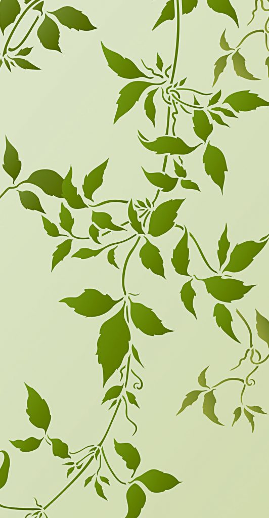 Trailing Leaves of the Montana Clematis
3 sheet stencil
Oversize Trailing Leaves Stencil 2 is based on closely observed and beautifully drawn trailing vine leaves of the Montana Clematis - also known as the Himalayan Clematis. These delicate trailing leaves are perfect for contemporary botanical decorating.

Oversize Trailing Leaves Stencil 2 is a three sheet oversize design containing two delicate strands of this climber, which can be used individually or grouped together in different hanging and trailing arrangements. Comes with easy to use registration dots for aligning the sections together. See size and layout specifications below.