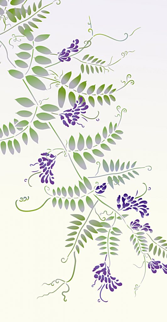 Made to Order Stencil
Large delicate vetch vine and flowers
Large 1 sheet stencil
This stencil is a made to order item only available through pre-order. To pre-order this stencil pay and order online as usual. We will then cut the stencil for you in our next stock cut and despatch to you as soon as your order is ready. This process can take up to 28 days. Order confirmation will be emailed to you on receipt of order payment and despatch confirmation will be emailed when your stencil is ready. Please be aware Made to Order stencils are non returnable.

The beautiful and delicate Large Wild Vetch Stencil is inspired by wild purple vetch, a persistent fragile climber. The Large Wild Vetch Stencil will add a fine tracery of pattern and a touch of whimsy to your decorating schemes - perfect for both walls and fabrics. Beautiful in bedrooms, dining areas and formal areas. Use as an all-over pattern or at random intervals.

The Large Wild Vetch Stencil is a large single sheet design containing one large vetch motif and nine additional tendrils, leaves and flowers to add to and extend the main motif. This very versatile stencil will allow you to grow and extend your own vetch design to fit any space required. See specifications below.